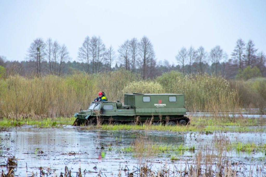 Смотрите, какой мощный вездеход используют в Пинских электросетях