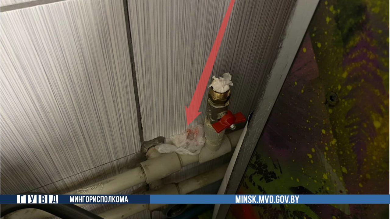 Белоруска похитила кольцо Cartier за 9500 рублей и спрятала за батареей. Что было дальше?