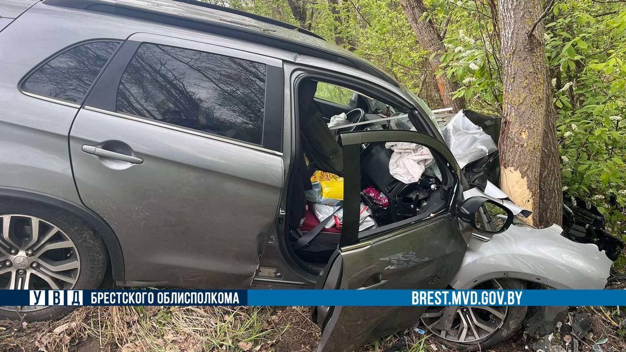В Жабинковском районе водитель легковушки уснул за рулем и врезался в дерево
