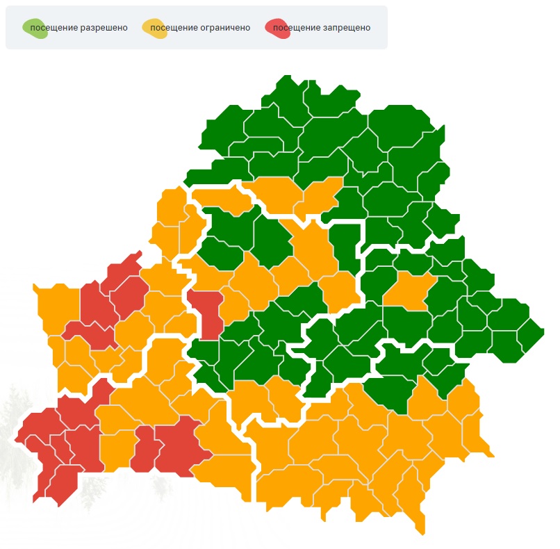 Где в Брестской области установлен запрет на посещение лесов