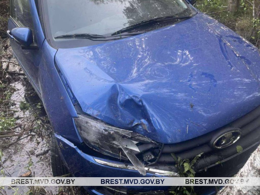 В Ганцевичском районе водитель Lada врезалась в дерево