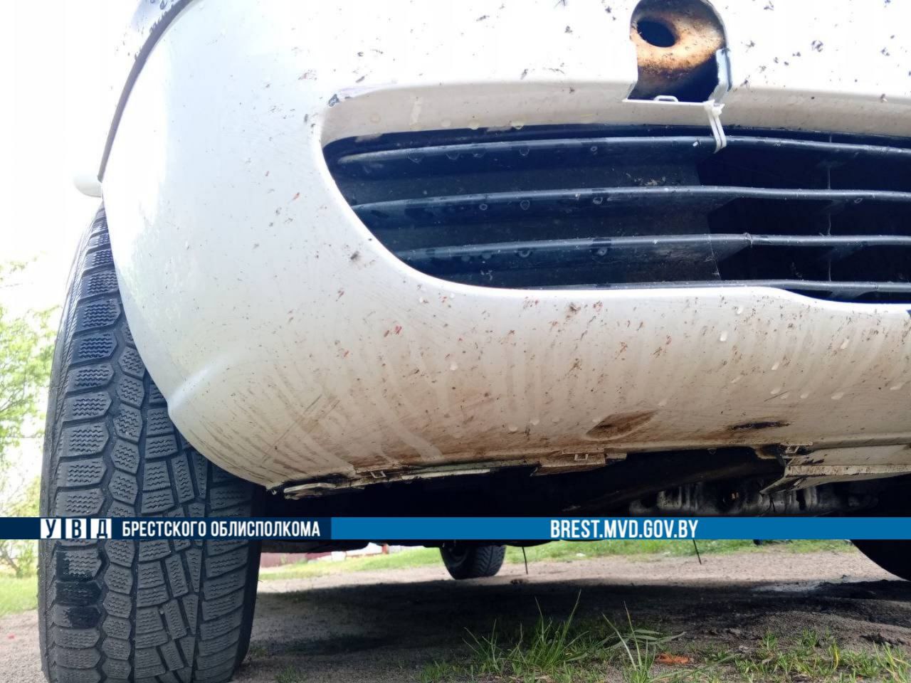 В Брестской области задержан молодой парень, который насмерть сбил пешехода и скрылся