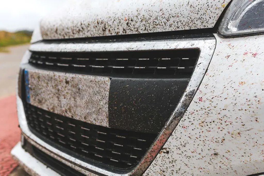 Как и чем лучше избавляться от насекомых на стеклах и кузове автомобиля: советы для водителей