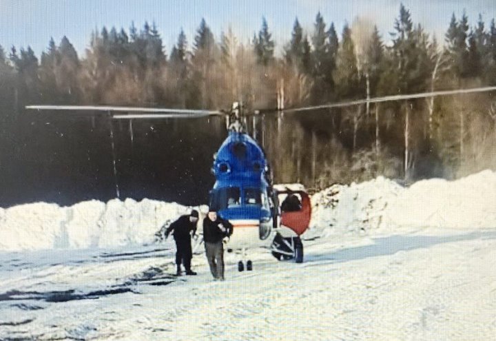 В МВД рассказали подробности истории охоты с вертолёта на медведя