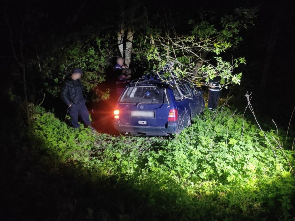 В Беларуси водитель погиб в ДТП с лосем