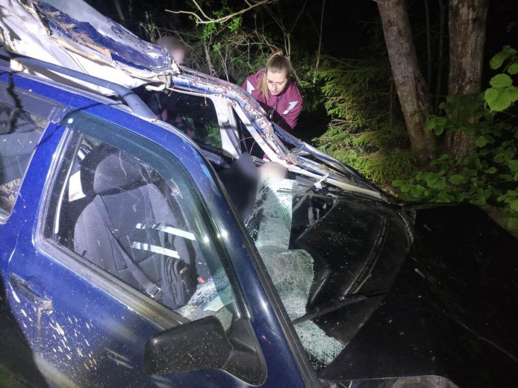 В Беларуси водитель погиб в ДТП с лосем