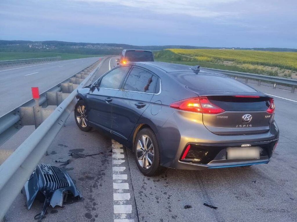 В Беларуси водитель погиб в ДТП с лосем