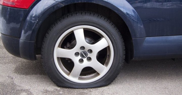 В Гомеле суд оштрафовал соседа, обмазавшего чужое авто фекалиями кота