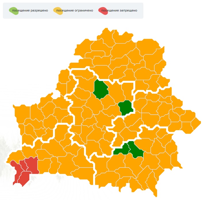 В четырех районах Брестской области введен запрет на посещение лесов
