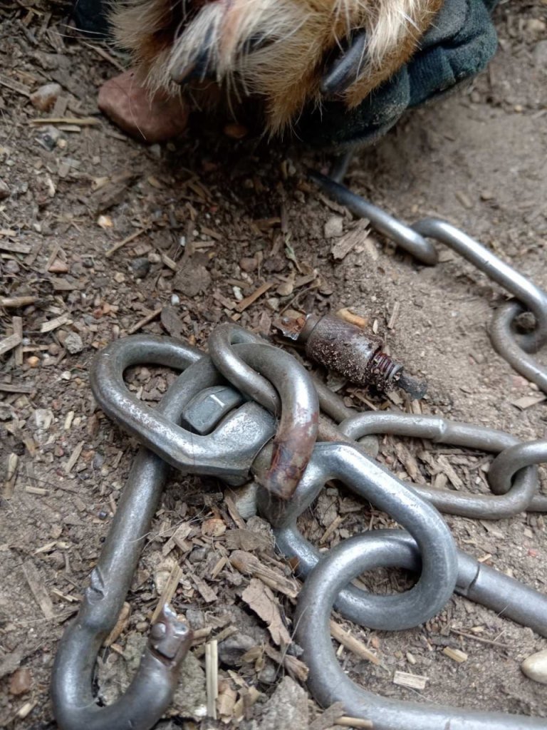Еще одна добрая история: каменецкие спасатели помогли собаке, лапа которой застряла в карабине цепи