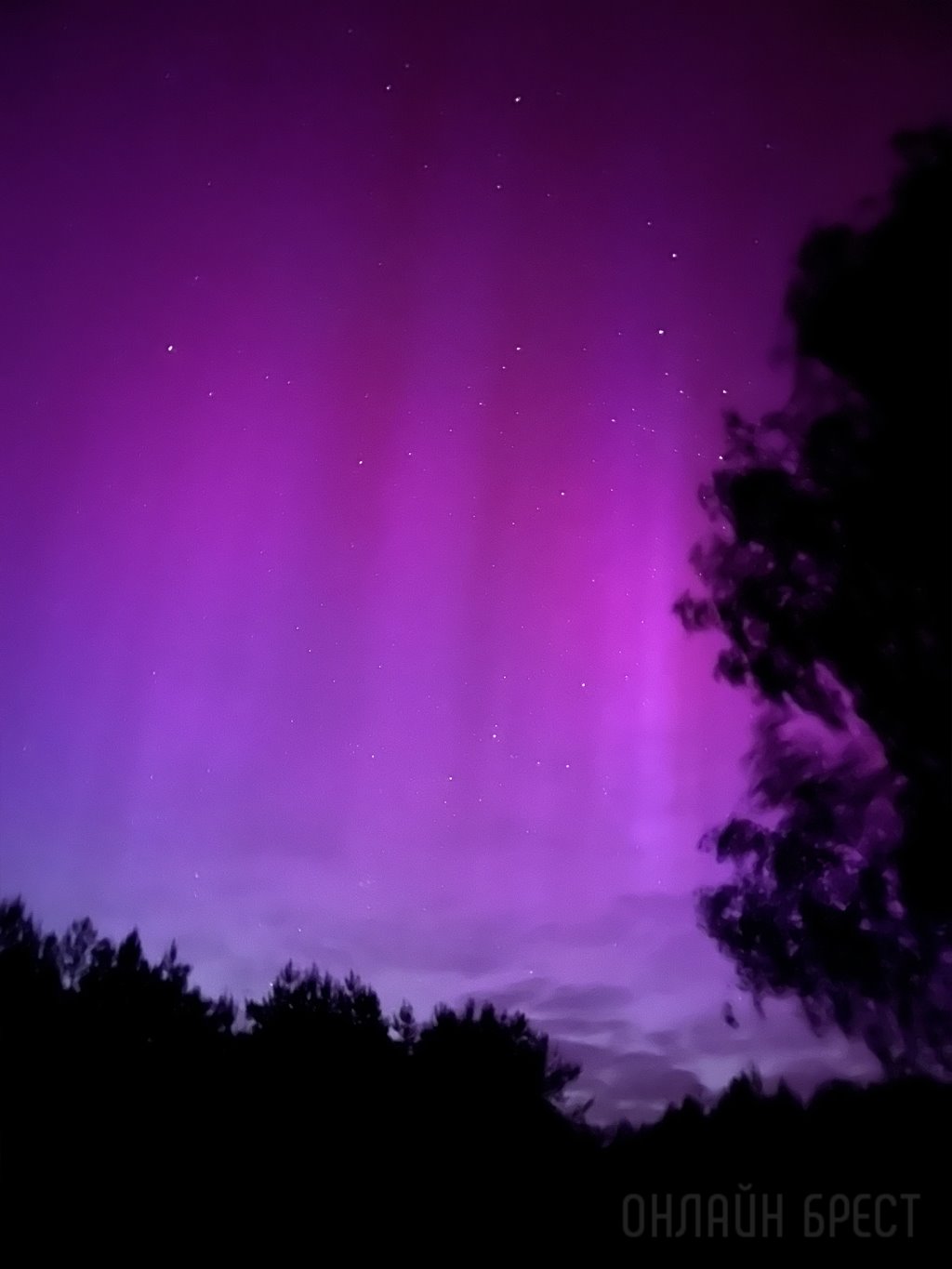 Красочное северное сияние появилось сегодня в небе над Брестской областью. Фотофакт