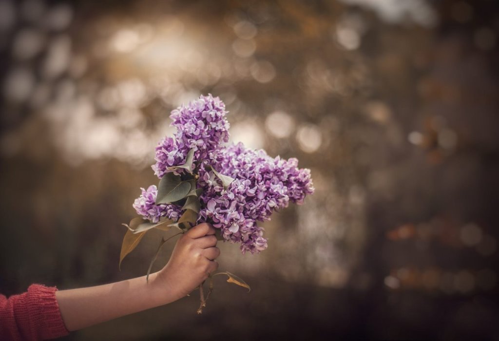 В Беларуси за повреждение сирени может быть штраф. Какой?