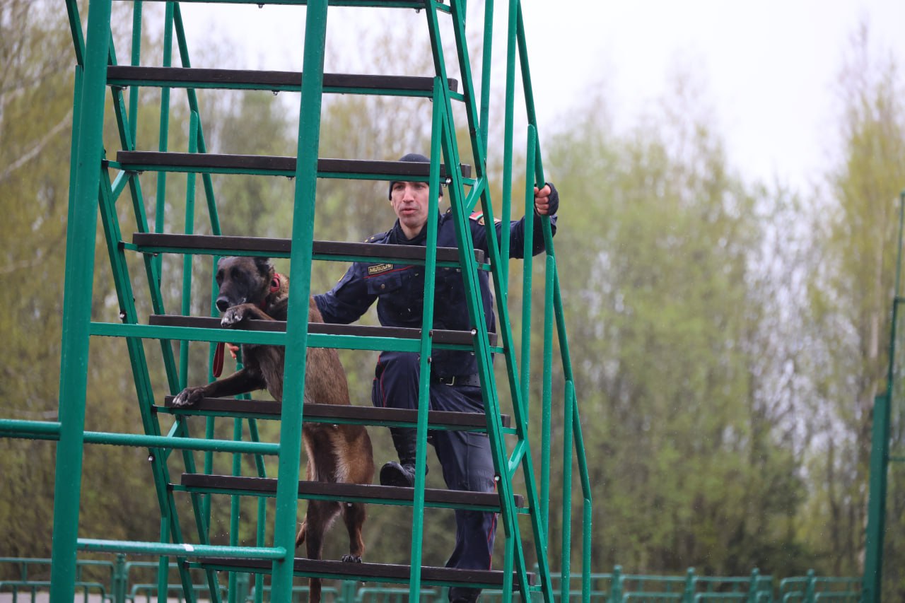 Триумфом брестчан завершились соревнования кинологов