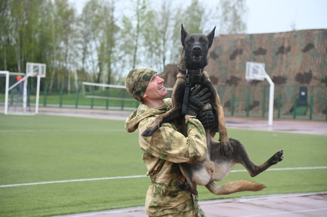 Триумфом брестчан завершились соревнования кинологов