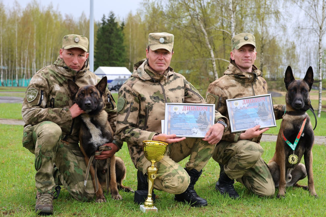 Триумфом брестчан завершились соревнования кинологов