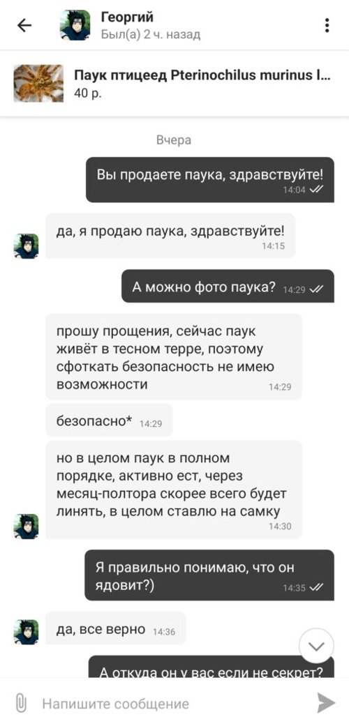 Телефон за 100 млн, ядовитый паук и хлеб зубной работы. Нашли три странных товара на Куфаре