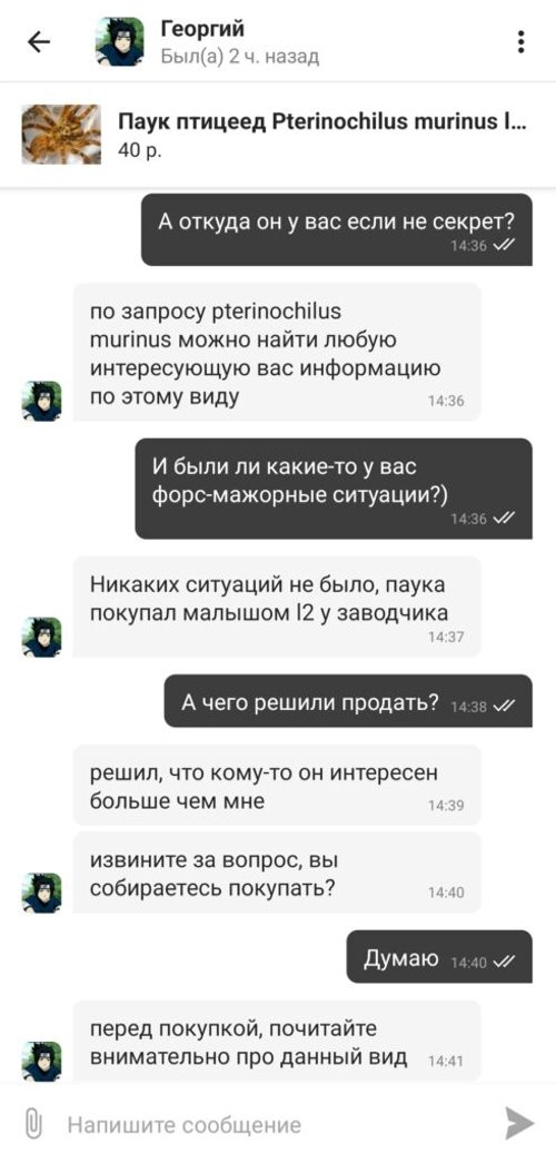 Телефон за 100 млн, ядовитый паук и хлеб зубной работы. Нашли три странных товара на Куфаре