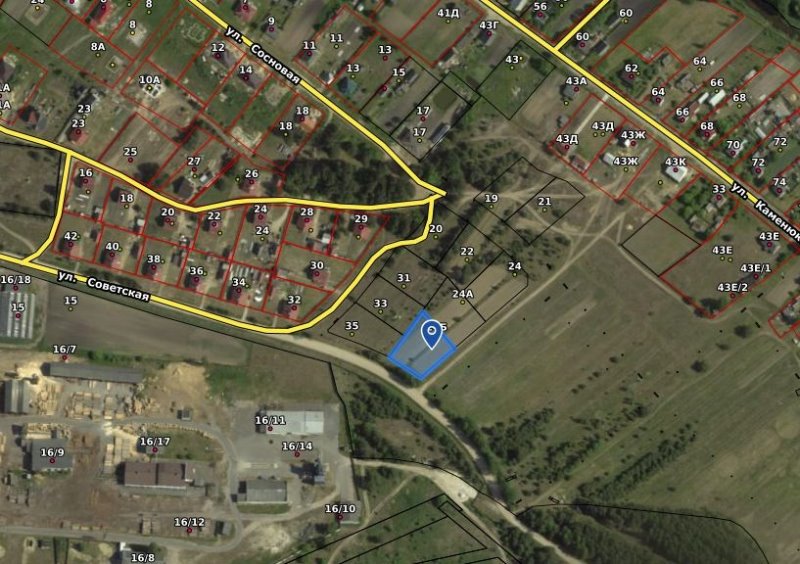 В Беловежской пуще выставили на аукцион участки под строительство коттеджей