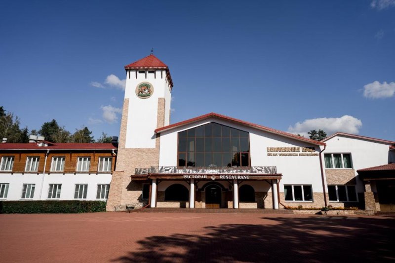 В Беловежской пуще выставили на аукцион участки под строительство коттеджей