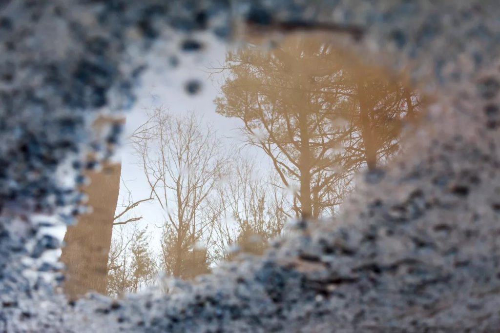 Фото из открытых источников (иллюстративное)