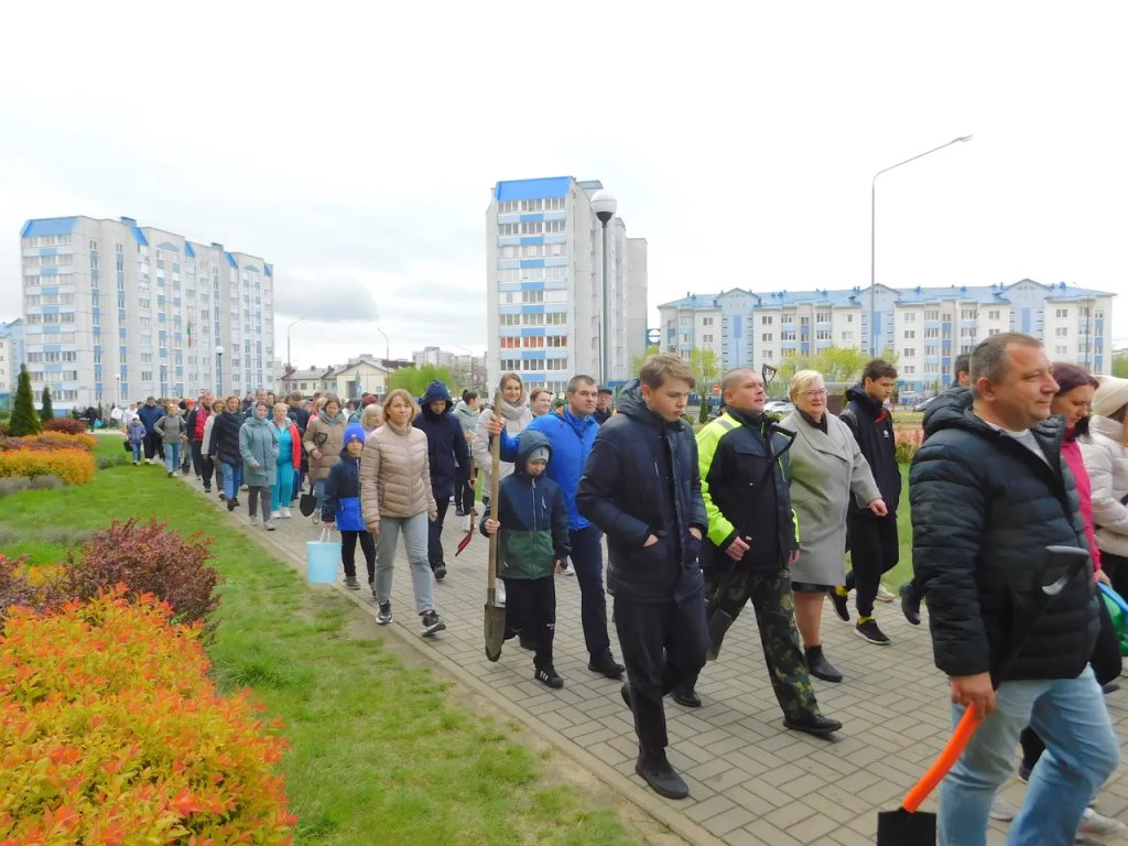 Семьдесят туй зазеленели во дворе СШ № 1 г. Бреста