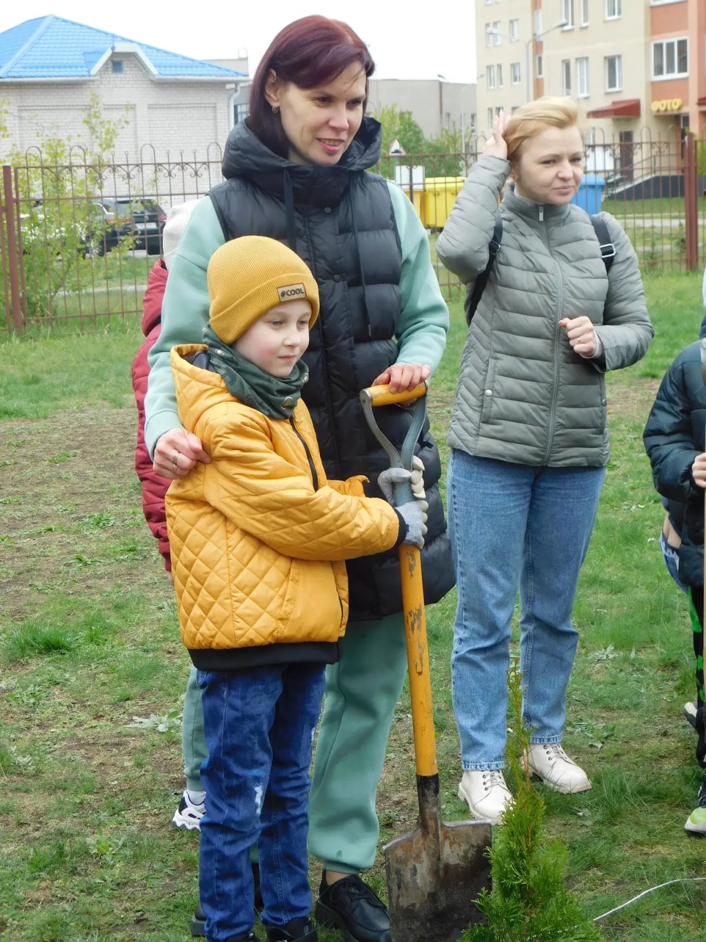 Семьдесят туй зазеленели во дворе СШ № 1 г. Бреста