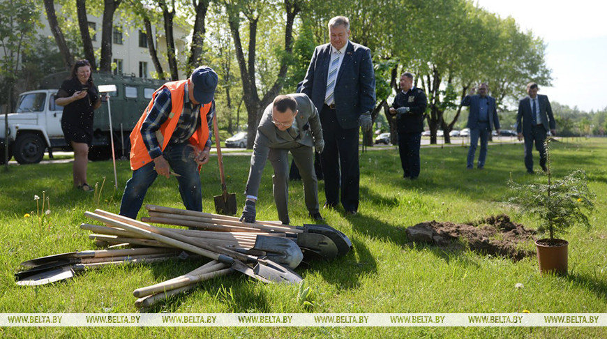 Аллею Единства заложили в центре Бреста