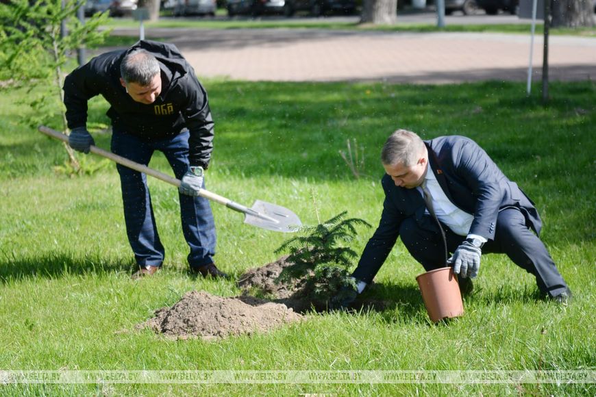 Аллею Единства заложили в центре Бреста