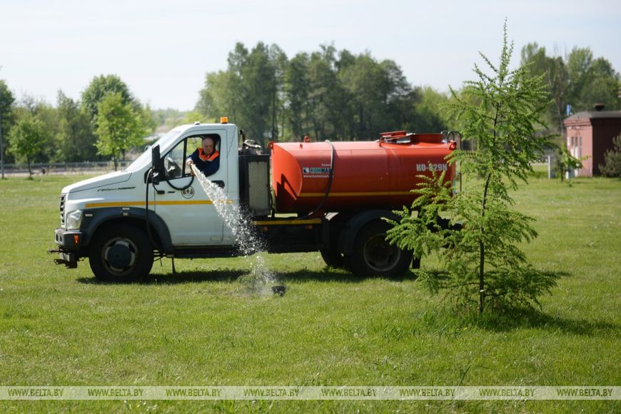 Аллею Единства заложили в центре Бреста
