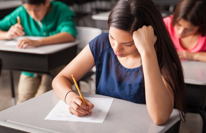 Названы самые популярные предметы на ЦТ в 2024 году. Угадаете, какой в лидерах?