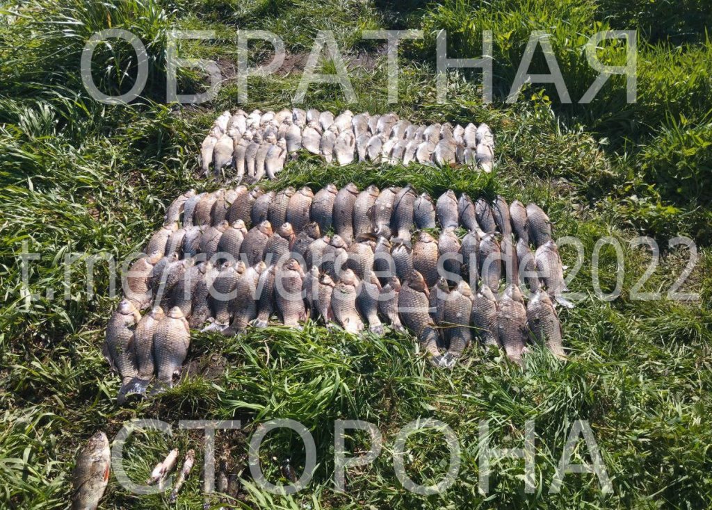 В Малоритском районе задержаны браконьеры-рыбаки. Ущерб составил свыше 20 тысяч рублей