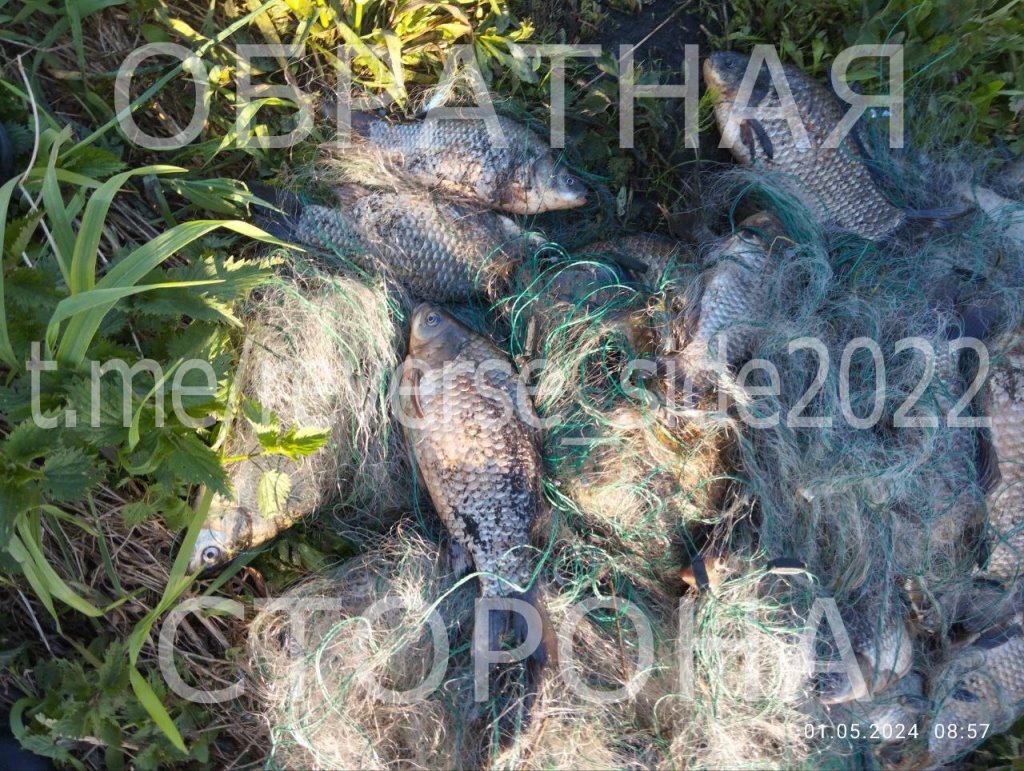 В Малоритском районе задержаны браконьеры-рыбаки. Ущерб составил свыше 20 тысяч рублей