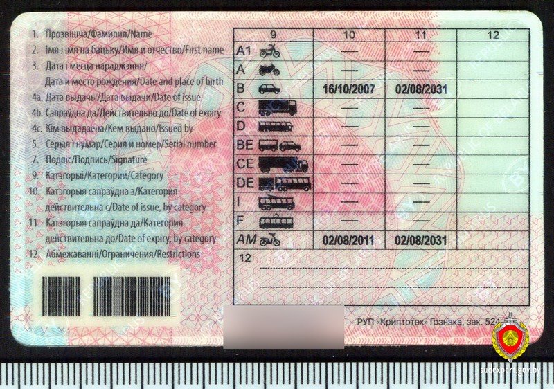 Мужчина предъявил ВУ, но сотрудники ГАИ отправили его на экспертизу