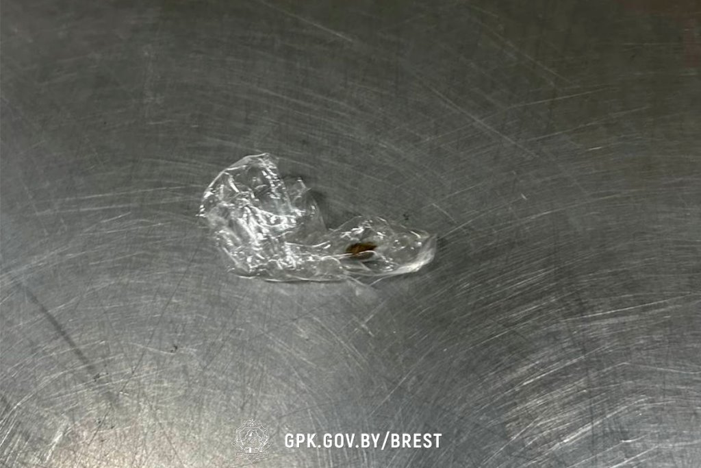 Мужчина пытался ввезти гашиш в Беларусь. Случай на границе в Бресте