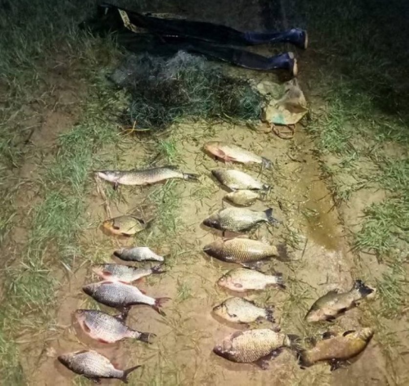 Два белоруса нарыбачили на уголовку: узнали подробности