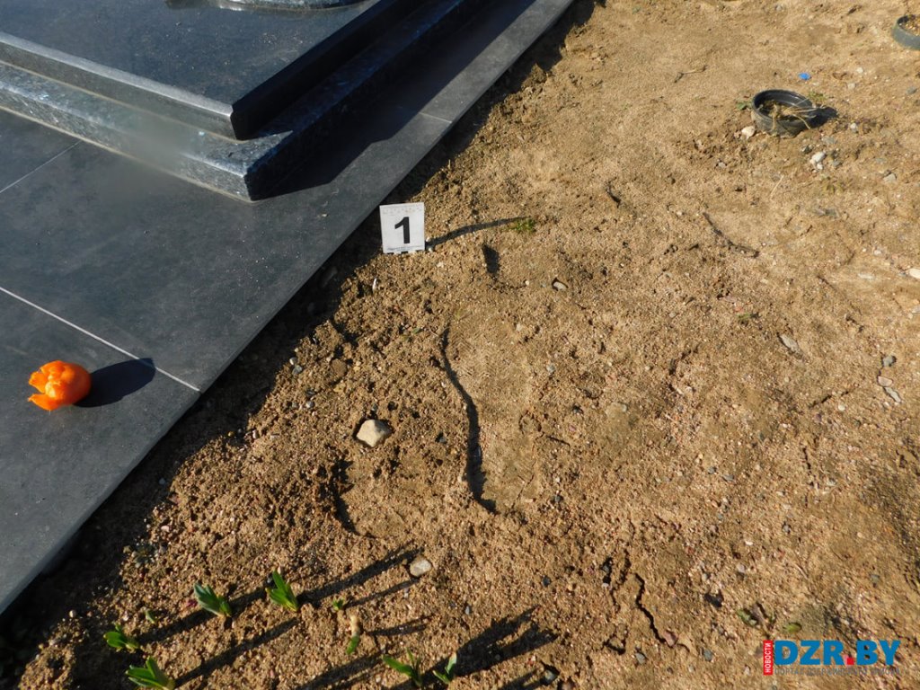 В Беларуси подростки решили «развлечься» на кладбище. Ущерб оценили в 700 рублей. Что они сделали?