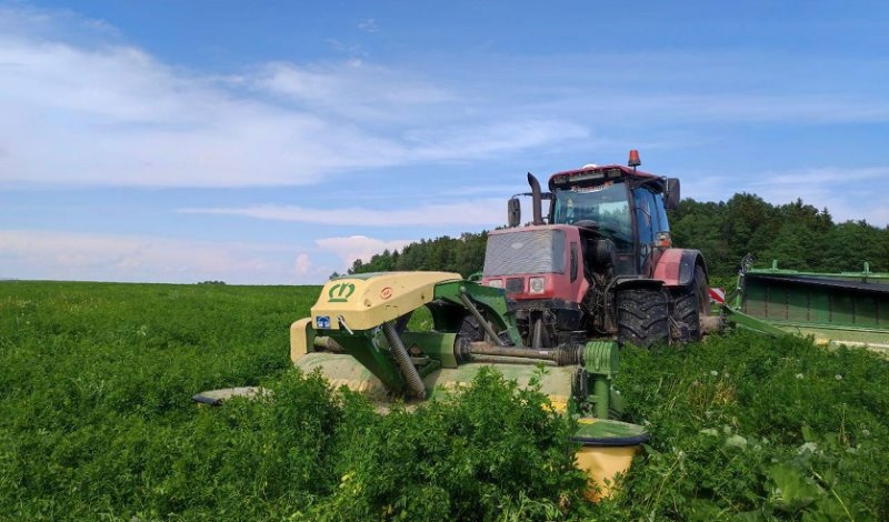 В Беларуси водитель косилки насмерть переехал спящего в траве коллегу