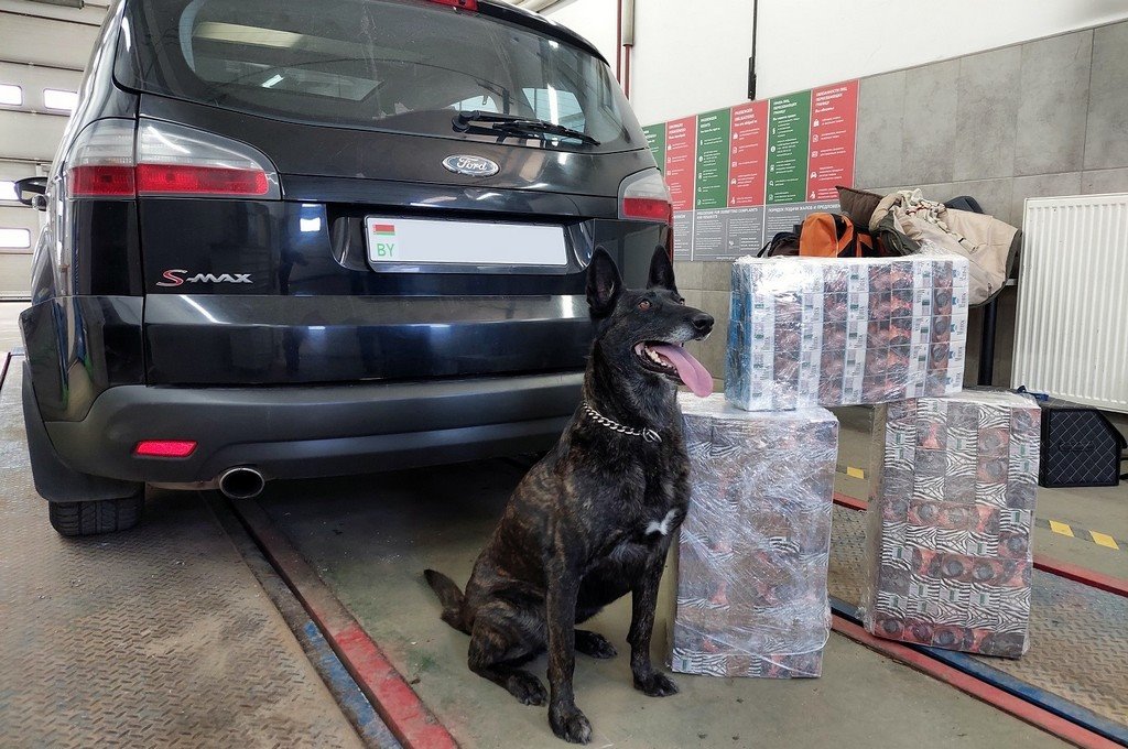 В Польше голландская овчарка нашла в автомобиле белоруса контрабандные сигареты