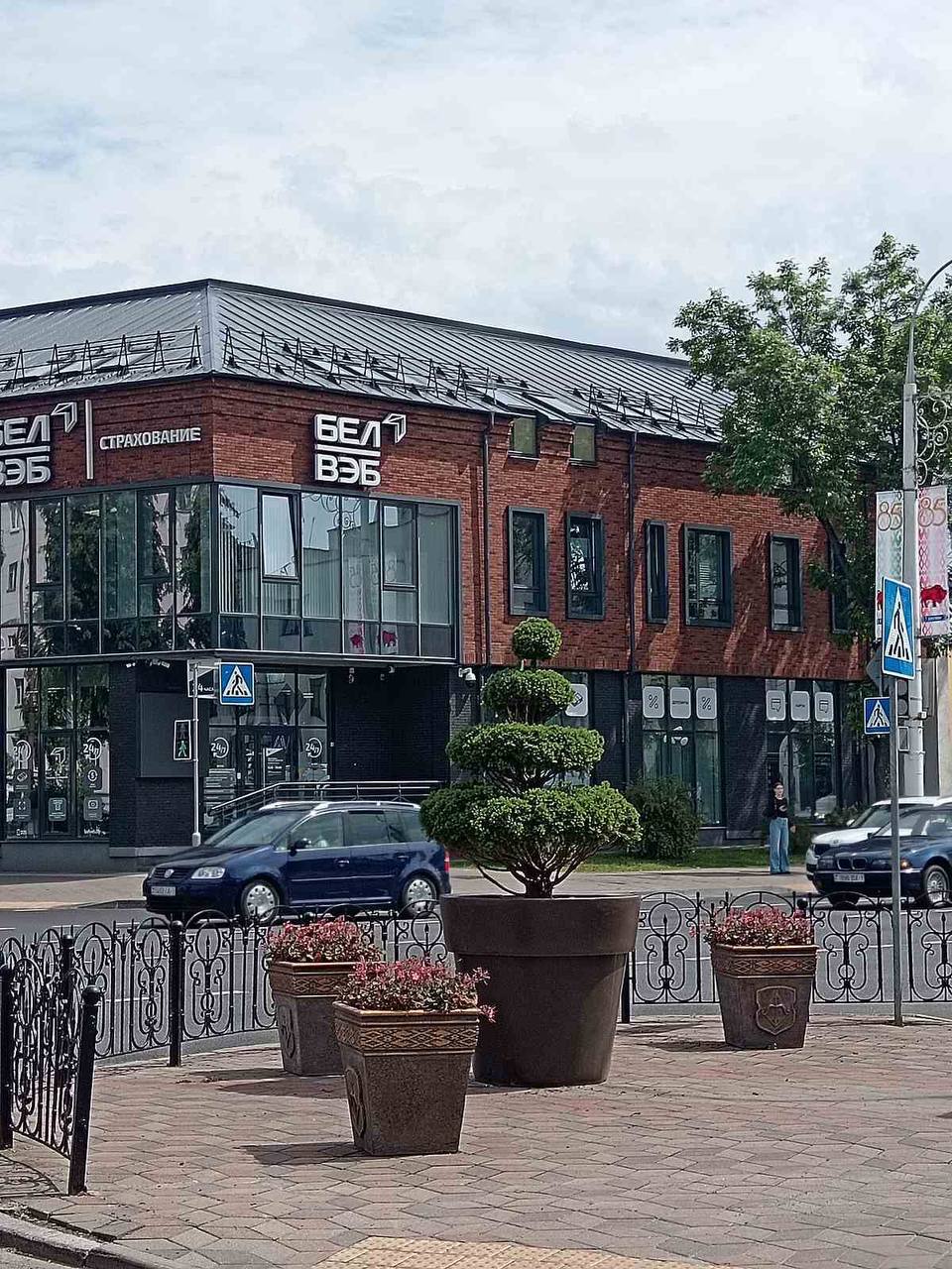 В Бресте установлены новые модули с растениями топиарных форм: ель канадская и туя западная