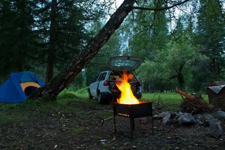 Отдыхаем по правилам: как не испортить выезд на природу