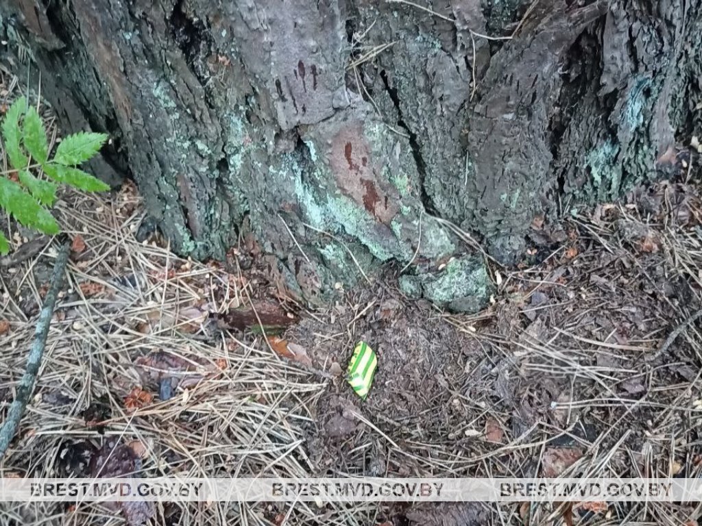 В Пинске задержали наркокурьера из Барановичей