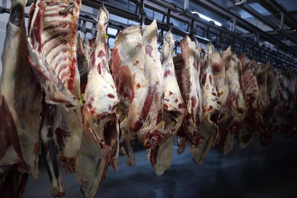 Дело о мясе из скотомогильников: отмывали Fairy с содой и продавали