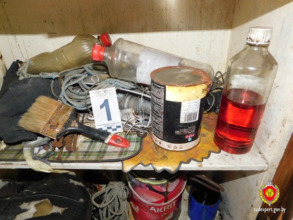 В Беларуси отец и сын нашли на полигоне бытовых отходов бутылку и распили ее. Умерли оба