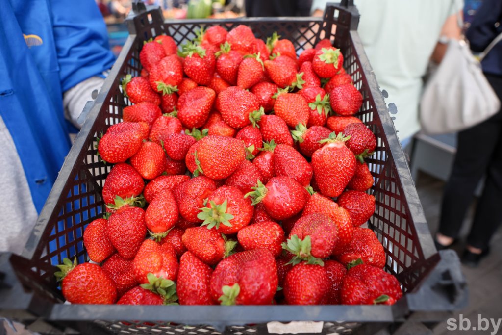 Что происходит с ценами на клубнику на оптовом рынке в Лунинецком районе