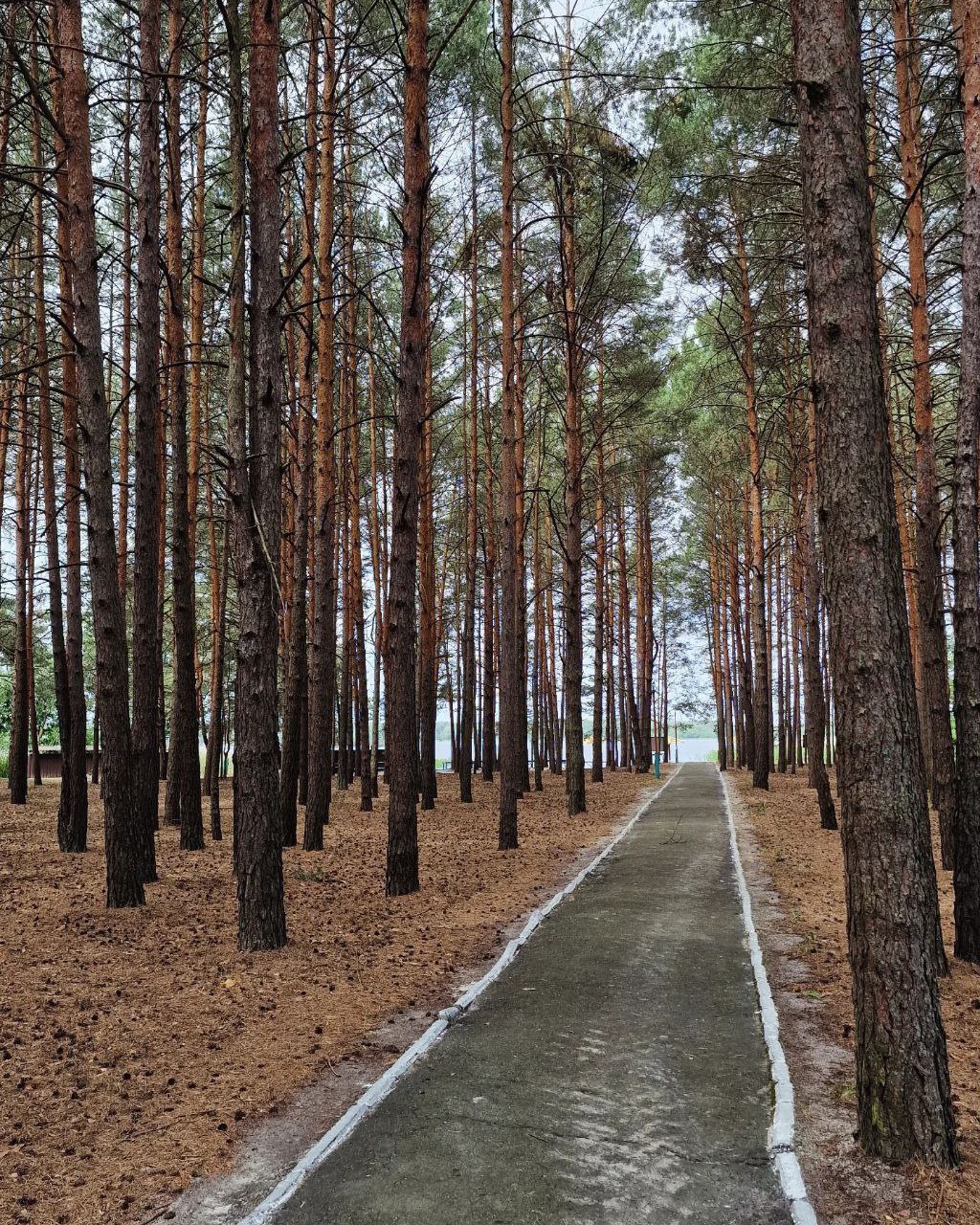 Оздоровительный лагерь «Волна-Любань» готовится принять первую смену детей (Кобринский район, аг. Дивин)