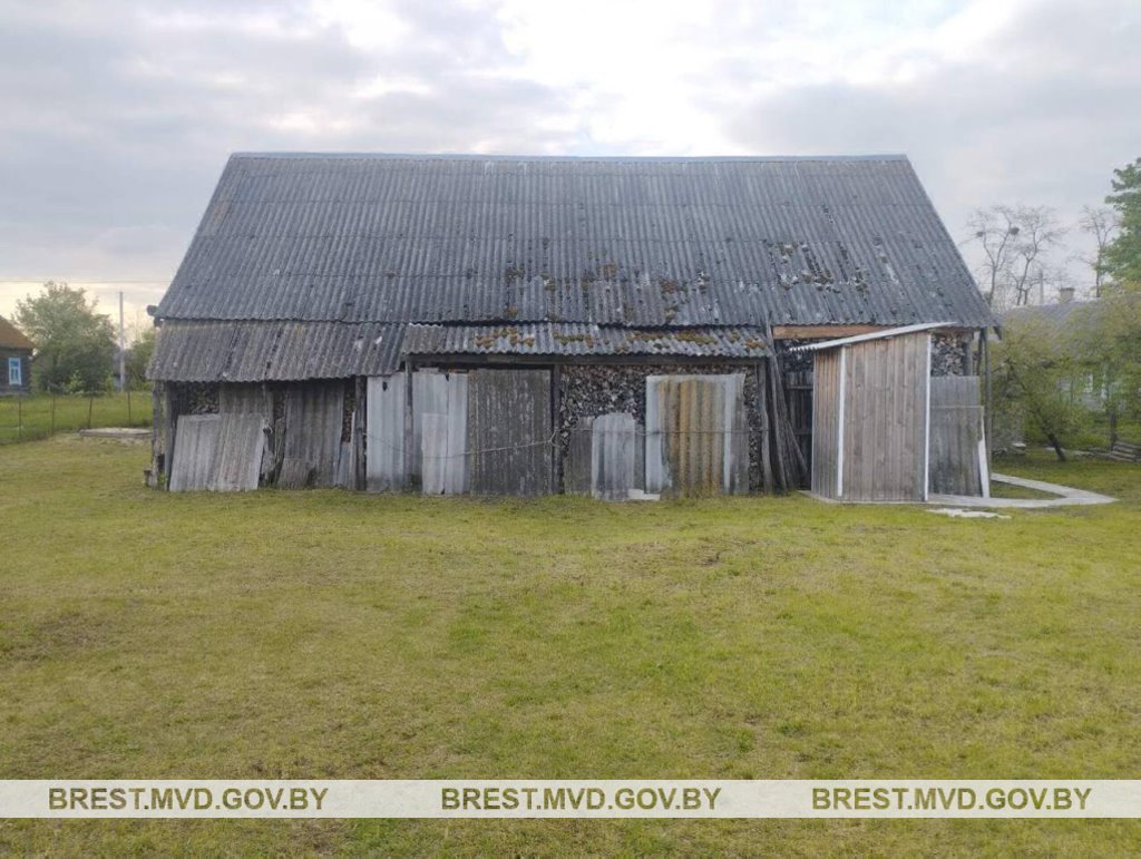 Обокрала соседка. У жительницы Кобрина украли дрова и торфобрикет