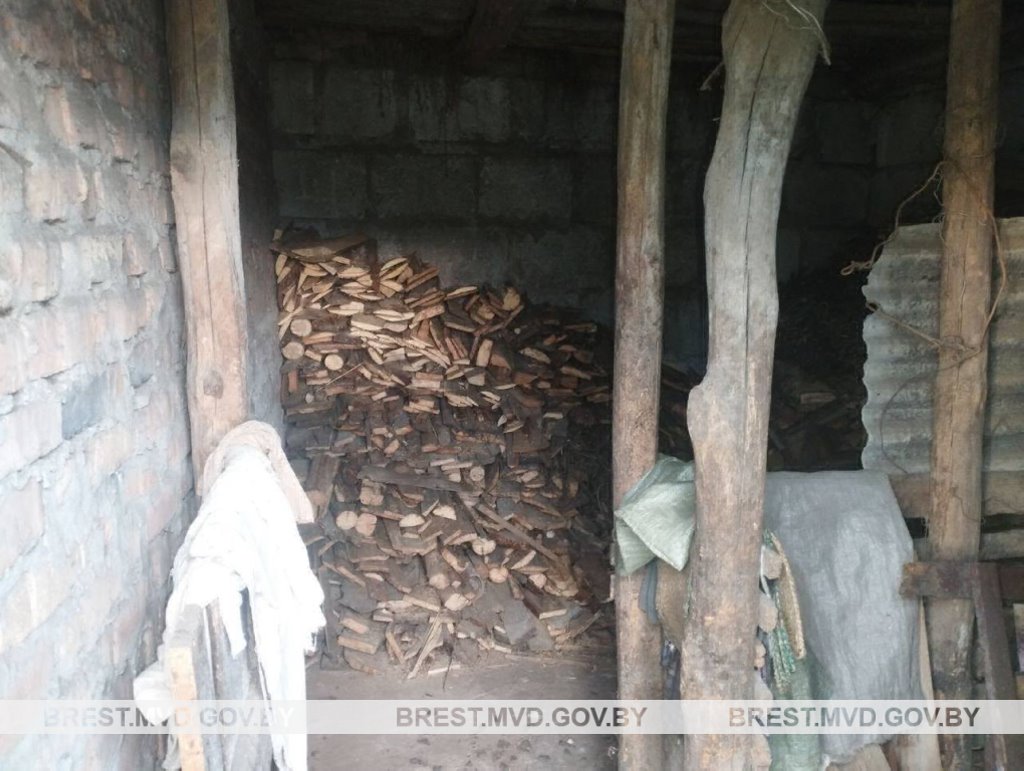 Обокрала соседка. У жительницы Кобрина украли дрова и торфобрикет
