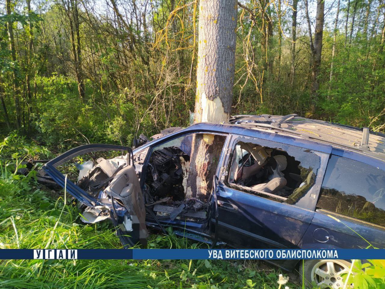 Смертельное ДТП: водитель Chrysler врезался в дерево