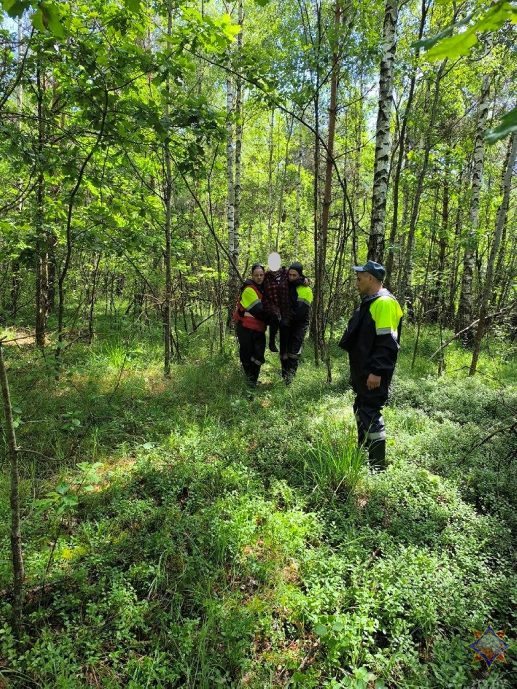 Найдена женщина, которая потерялась в лесу в Ивацевичском районе