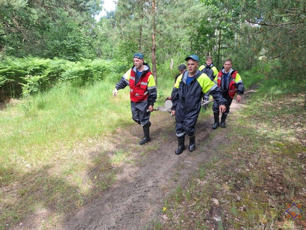 Найдена женщина, которая потерялась в лесу в Ивацевичском районе